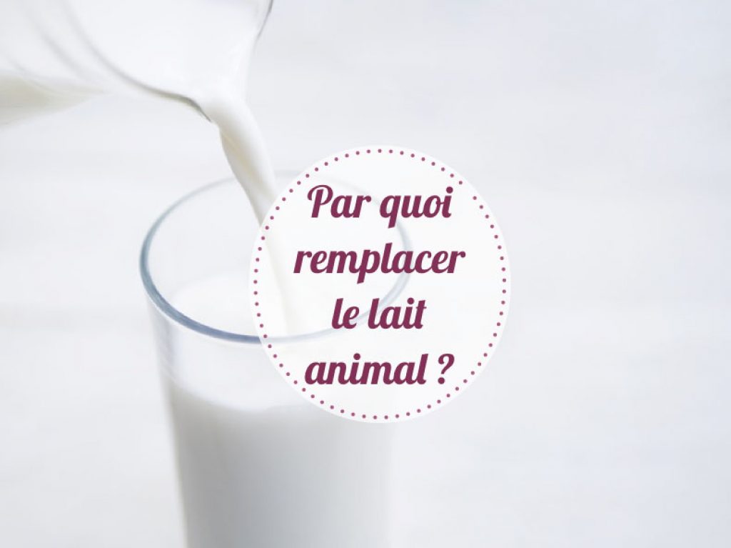 Alternatives lait animal
